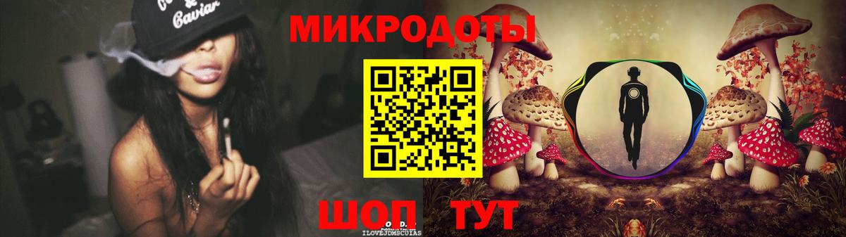 Мичуринск  Псилоцибиновые грибы Psilocybe  Вход с VPN 